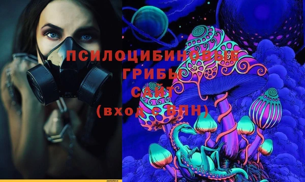 PSILOCYBIN Абинск